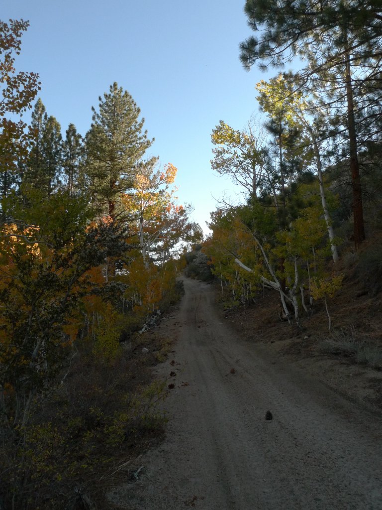 California-Fall2010 653.JPG